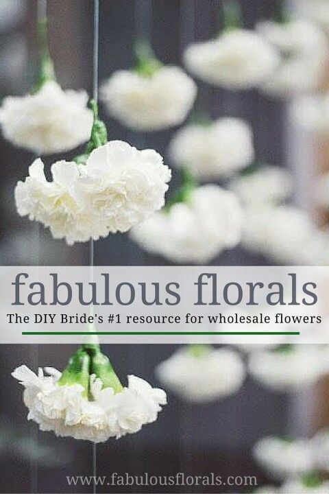 Fabulous Florals
