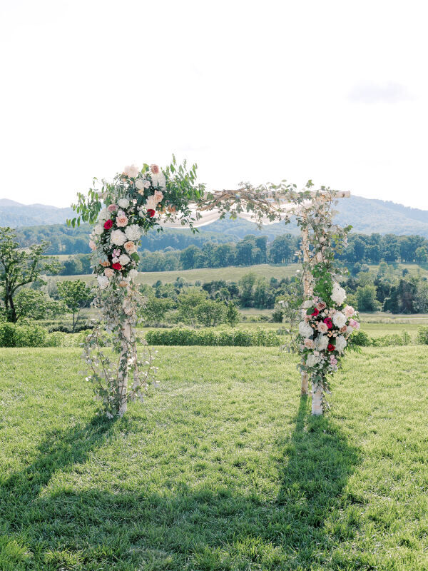 Charlottesville Area Weddings | Pippin Hill Farm & Vineyards | Allison & PJ