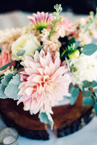 See Carats & Cake wedding florists
