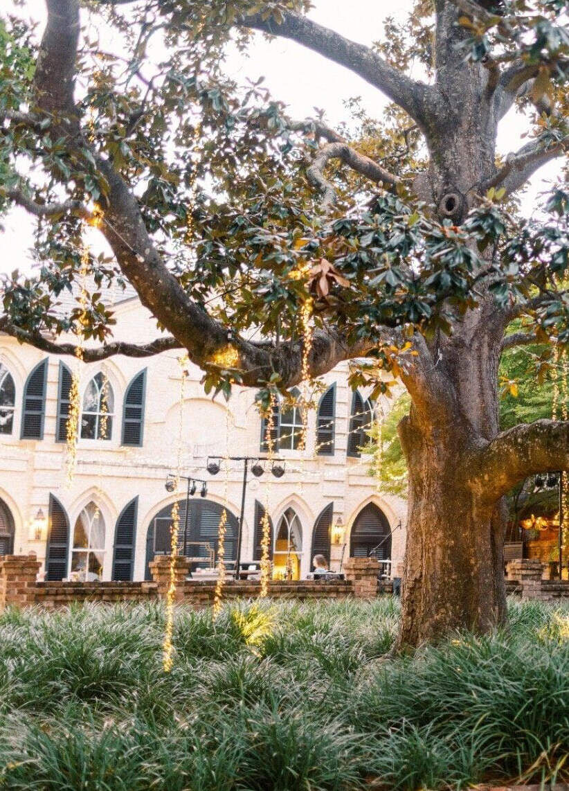 City Weddings: A large tree with strands of lights hanging from it on the same property as The William Aiken House in Charleston.