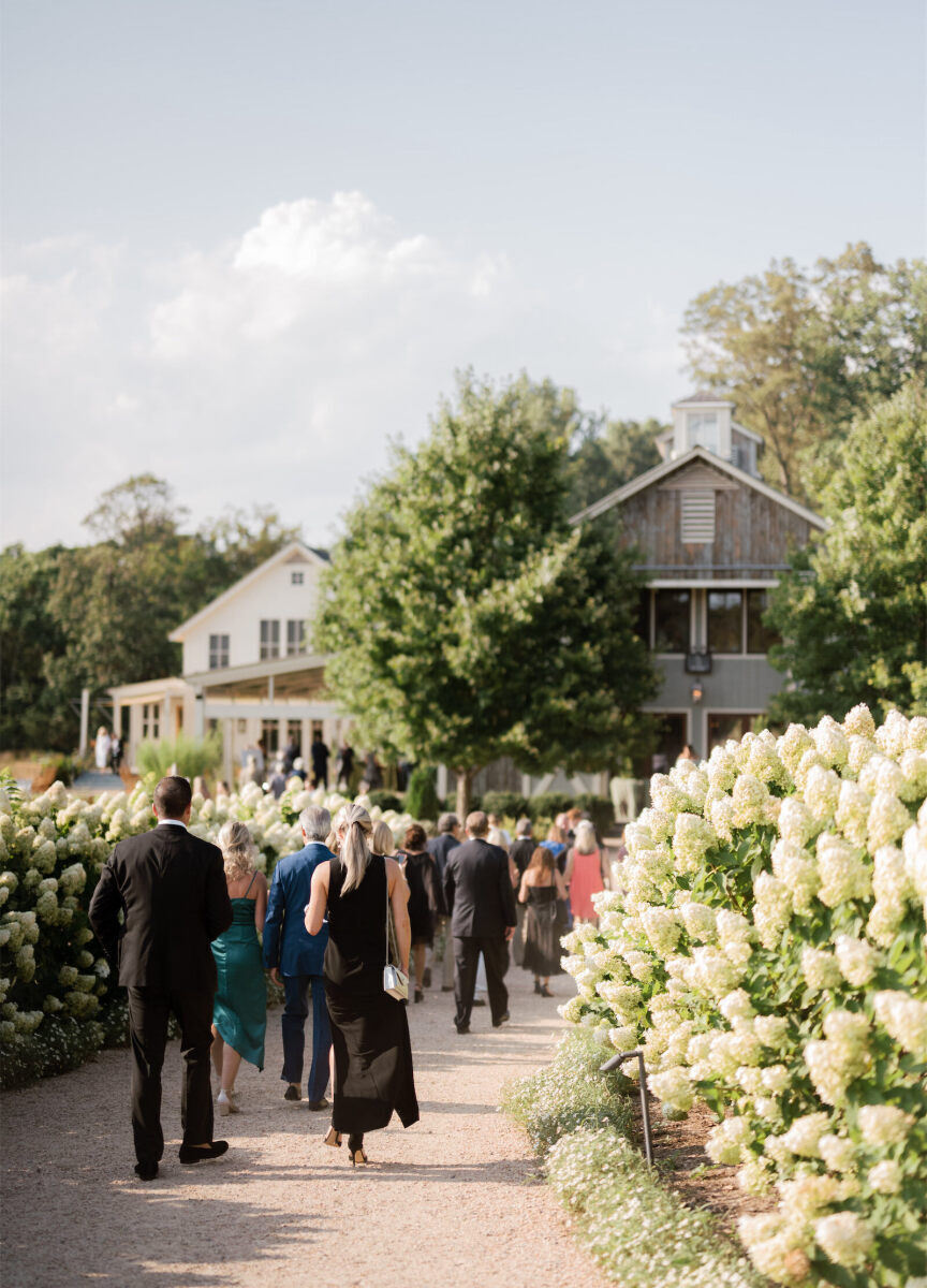 Guests on their way down a hydrangea-lined path on their way into the reception space of Pippin Hill at a cottagecore wedding.
