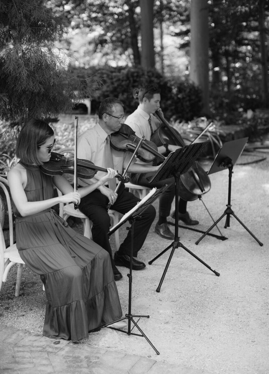 A string ensemble played during the ceremony of an enchanted garden wedding.