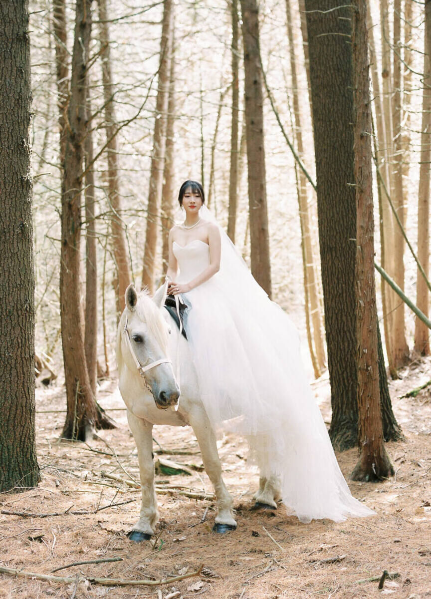 A bride atop a white horse poses for a striking portrait at her forest wedding.