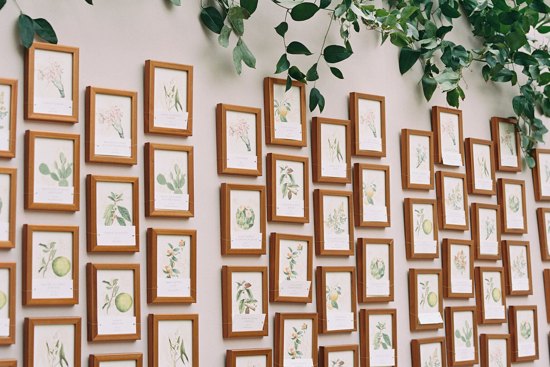 Gallery wall with plants on top 