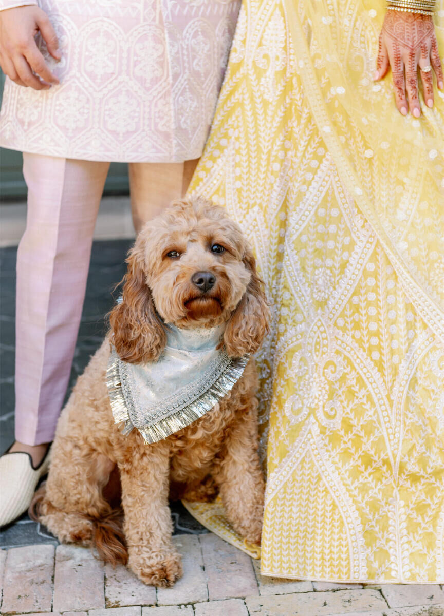 The couple's dog joined them for photos at their Indian fusion wedding at Commodore Perry Estate.