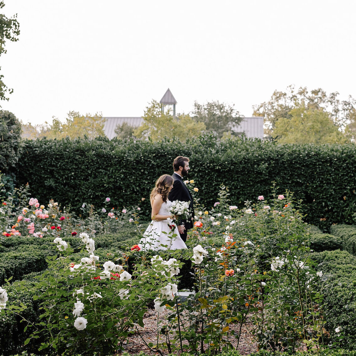 A bride and groom walking through a romantic wedding venue: the floral gardens of Beaulieu Garden in Saint Helena, California.