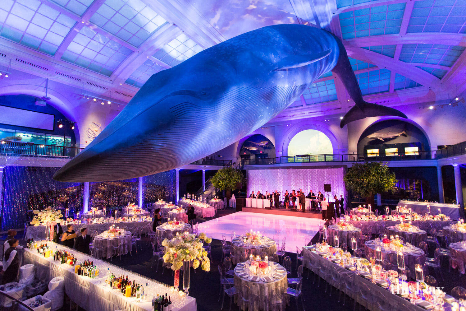 unique-wedding-venues-unusual-wedding-venues