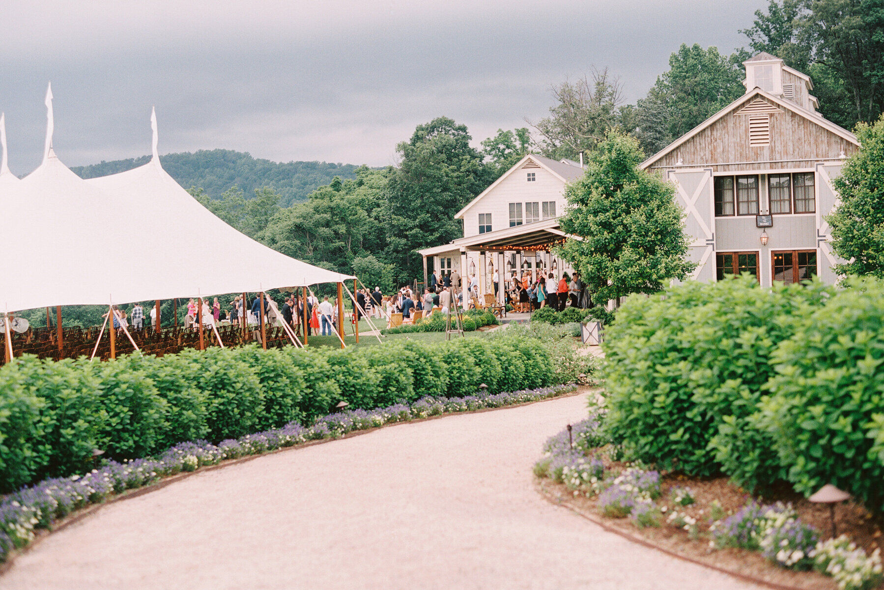 Explore Wedding Venue, Pippin Hill Farm & Vineyards