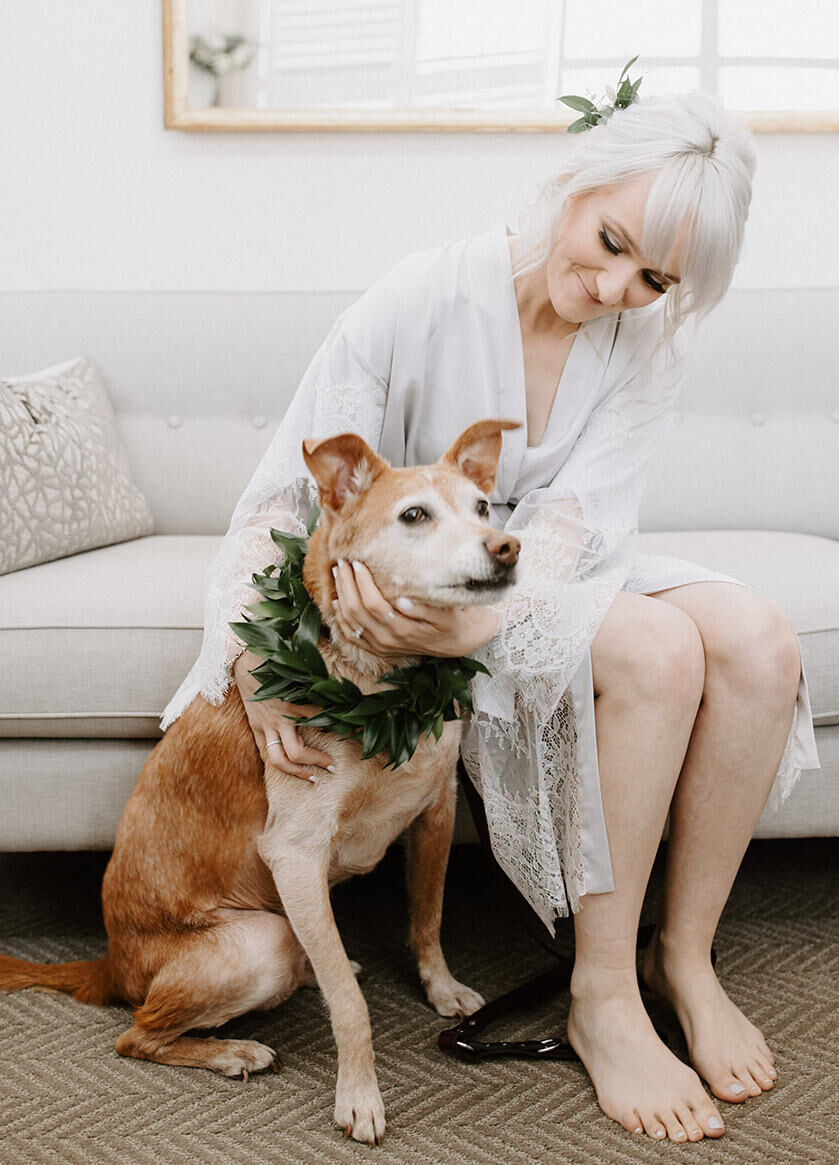 Wedding Website Examples: A bride in her getting-ready robe, sitting on a couch and petting her dog.