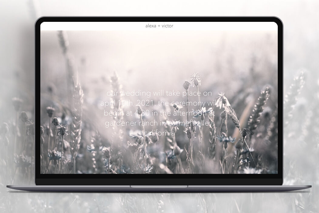 Wedding Website Examples: A desktop display of a wedding website homepage showing a meadow.