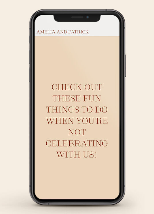 Wedding Website Examples: A mobile display of a wedding website with peach and rust tones.