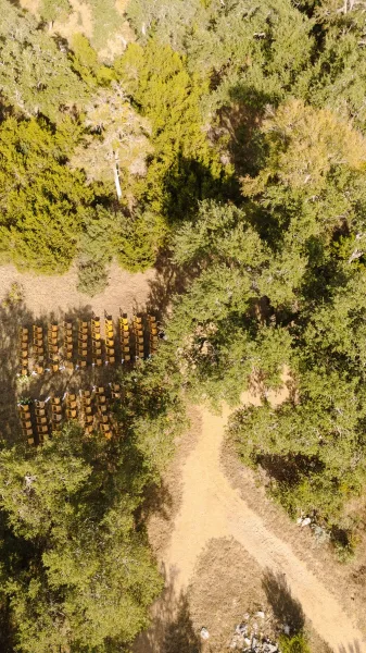 Outdoor ceremony setup for a forest wedding ceremony, rows of wood chairs lining a dirt path in a grass clearing amid trees and rocks.