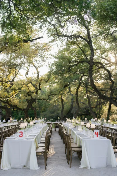 Outdoor reception tables with long banquet table setup under a tree canopy, white linens, greenery garlands, and glowing string lights