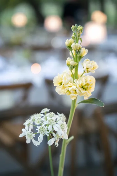 Wedding florals with yellow wedding flowers and white blooms in slim bud vases on a linen table, with bistro chairs and string lights behind