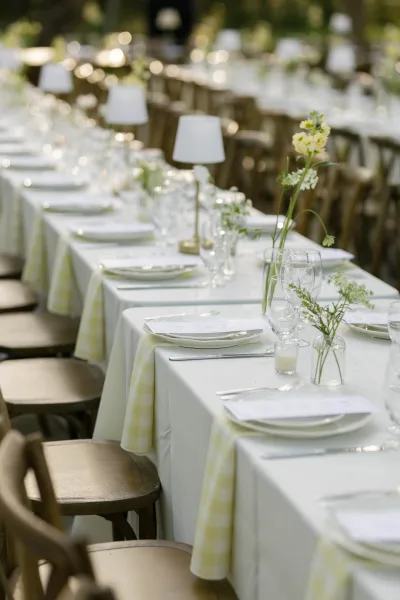 Reception tablescape with checkered runners, bud vases of yellow flowers, candles and small lamps on a long banquet table under garden bistro lights