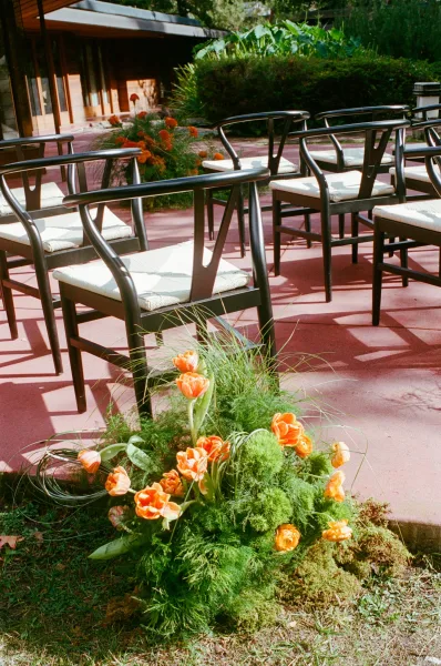 Ceremony seating with outdoor wedding chairs in neat rows, black chairs and cushions lined by orange tulip ground florals on a sunny patio
