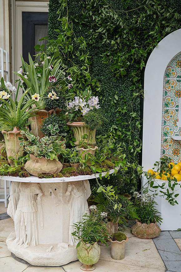 Wedding welcome decor featuring a wedding entrance decor greenery wall with terracotta planters, orchids, moss, and lemons at an outdoor entryway doorway