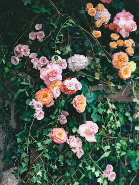 Wedding floral installation with garden roses, hydrangea, and ivy vines cascading over a stone wall with lush foliage backdrop