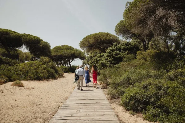 Wedding guests walking along a wooden boardwalk toward the ceremony, seen from behind in summer dresses with a handbag beside pines