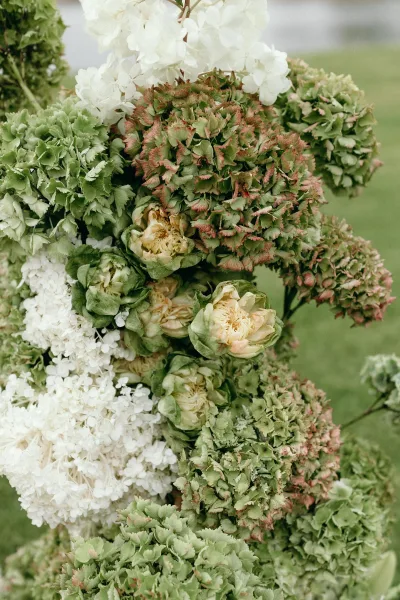 Floral arrangement of hydrangea wedding flowers arranged in textured clusters on a manicured grass lawn during an outdoor ceremony.