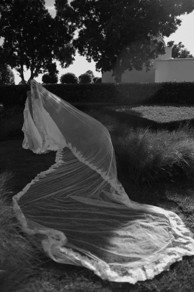 Bridal veil, a cathedral length veil with lace trim, sweeps behind the bride on a garden lawn bordered by hedges and trees.