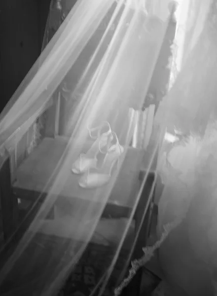 Bridal shoes—wedding shoes with veil draped over elegant heels, framed by a rustic wood wall and patterned rug.