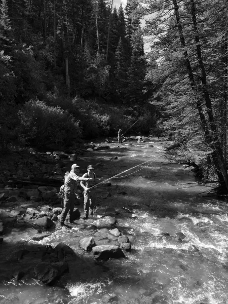 Fly fishing buddies wade in a rocky river, casting fly rods in waders, with forest trees and shrubs along the bank