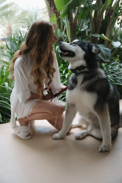 Bride with dog, getting ready with pet as she kneels on a patio holding the leash, framed by lush tropical garden greenery and palm trees.
