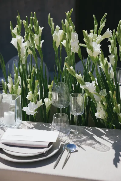 Reception tablescape anchors a minimalist table setting with a white gladiolus centerpiece, set against a dark wall with soft shadows.
