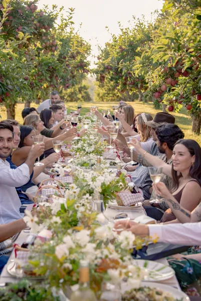 Wedding reception toast as guests cheer with wine glasses around a long banquet table set beneath sunlit orchard trees