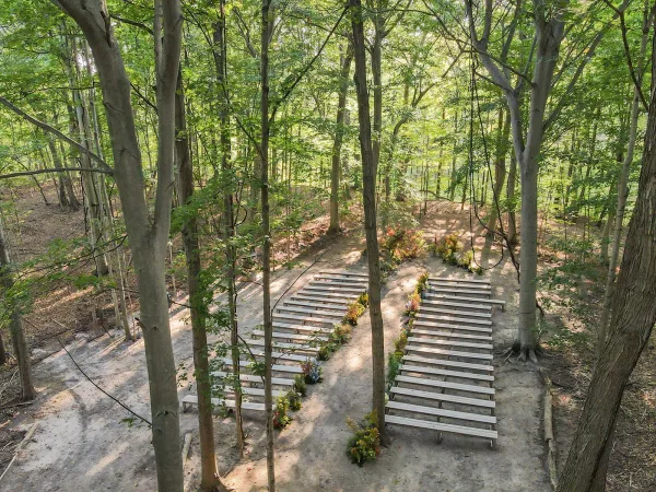 Ceremony setup with wood benches lining a greenery-garland aisle and floral arrangements in a forest clearing with tall trees