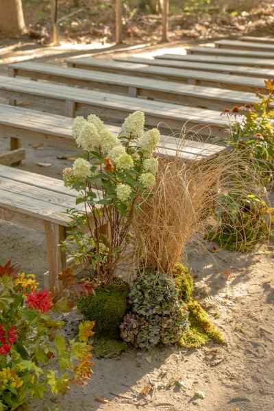Ceremony seating with wedding ceremony benches lined by white hydrangeas and moss accents along a sunlit woodland aisle on dirt ground
