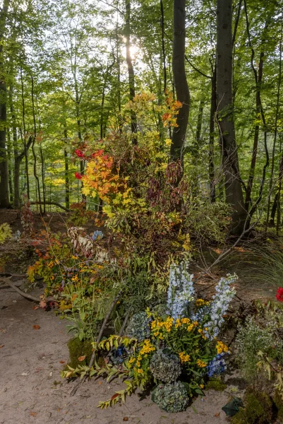 Ceremony floral installation of asymmetrical ceremony flowers with blue delphinium and hydrangea on moss base along a sunlit forest path
