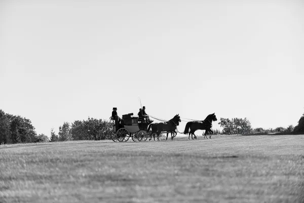 Horse drawn carriage with harnessed horses and driver hat, rolling across an open grass field with distant trees under wide sky