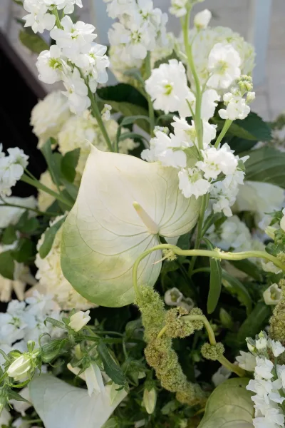 Wedding flowers with white anthurium, stock, and roses cascading with trailing greenery against a soft neutral backdrop