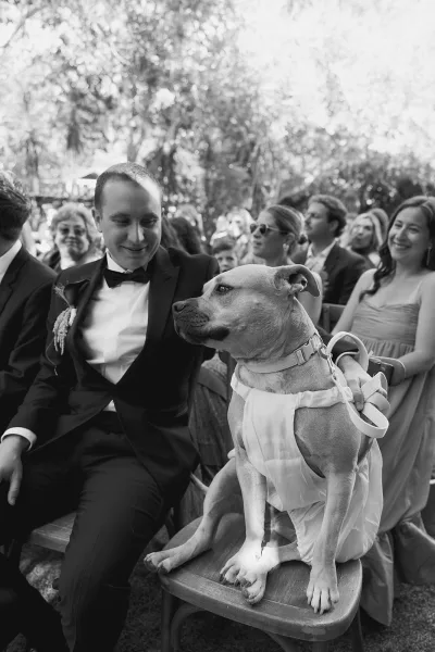 Wedding dog waits as a pet at wedding ceremony, wearing a tiny tuxedo in a sunlit garden framed by rows of chairs under trees.
