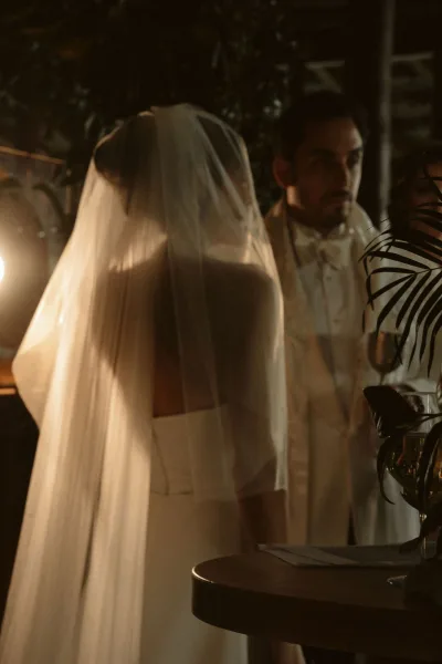 Wedding couple portrait of bride in long veil and groom in tuxedo with bow tie, standing by window light in an indoor venue with potted plant