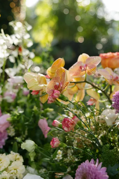 Wedding flowers featuring peach orchids, a graceful take on orchid wedding flowers, set against sunlit garden greenery.
