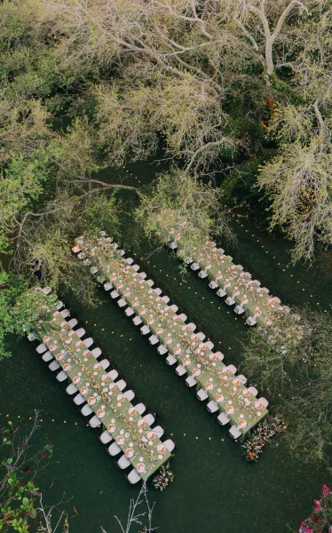 Outdoor reception setup with long banquet tables beneath garden trees on a grass lawn, with string lights overhead.