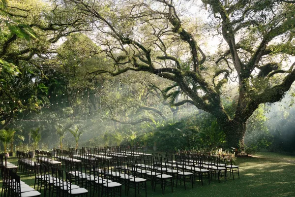 Outdoor ceremony setup with garden ceremony seating of chiavari chairs on a grass lawn beneath a large tree and surrounding lush greenery.