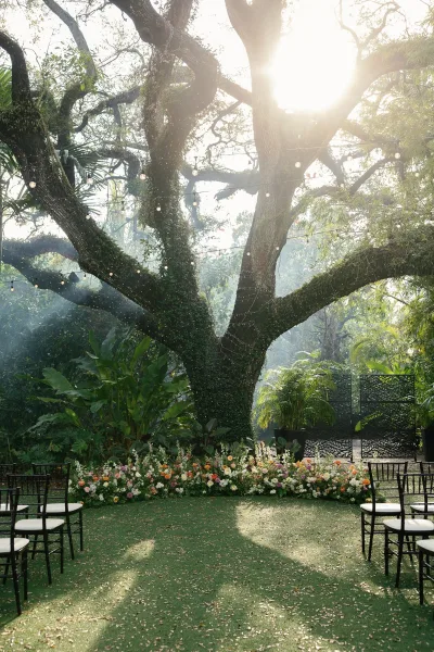 Outdoor ceremony setup with garden ceremony decor, string lights draped beneath a large tree, sunbeams filtering across the green lawn.