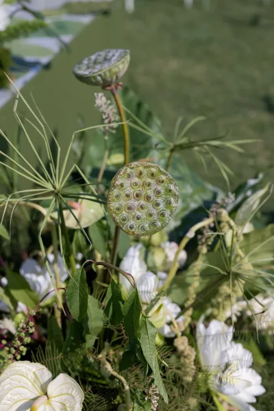 Wedding floral arrangement with lotus pods, white blooms, and lush greenery set on a grass lawn in an organic outdoor display