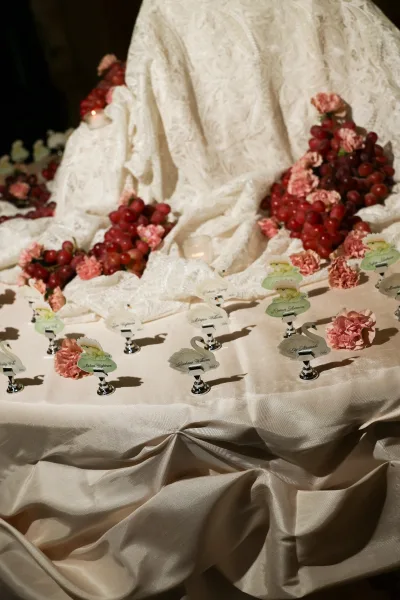 Escort card display with swan place card holders arranged before a draped lace backdrop on satin table linen.