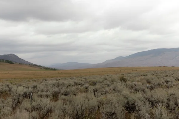 Mountain landscape with wide open landscape of rolling hills and sagebrush prairie, fence posts leading toward a distant range under a cloudy sky
