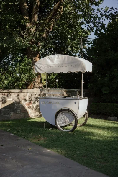Champagne cart with gold lettering and rows of flutes under a canopy awning on a grassy lawn beside a stone wall and trees