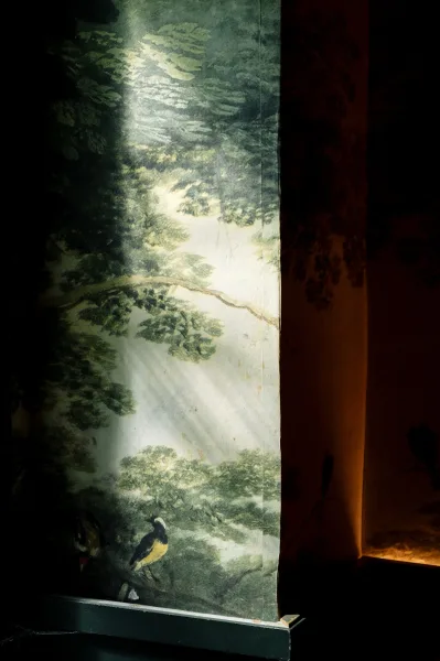 Venue wall mural with a painted bird illustration and paneled trim, lit by warm accent uplighting in a shadowed indoor corner