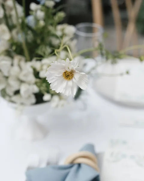 Reception tablescape with white wedding tablescape details, blue napkin place setting, bud vase flowers, menu card, and wine glass in greenery outdoors