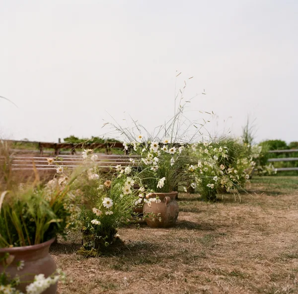 Ceremony aisle decor with aisle floral arrangements of daisies, wildflowers, and greenery in terracotta urns along a field by a wooden fence