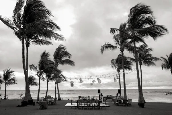 Beach reception setup with string lights over dining tables and wooden chairs, set beneath palms with ocean horizon under a cloudy sky