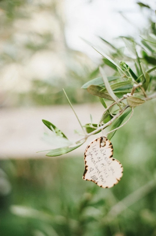 A Wedding for Lindsay and Matt